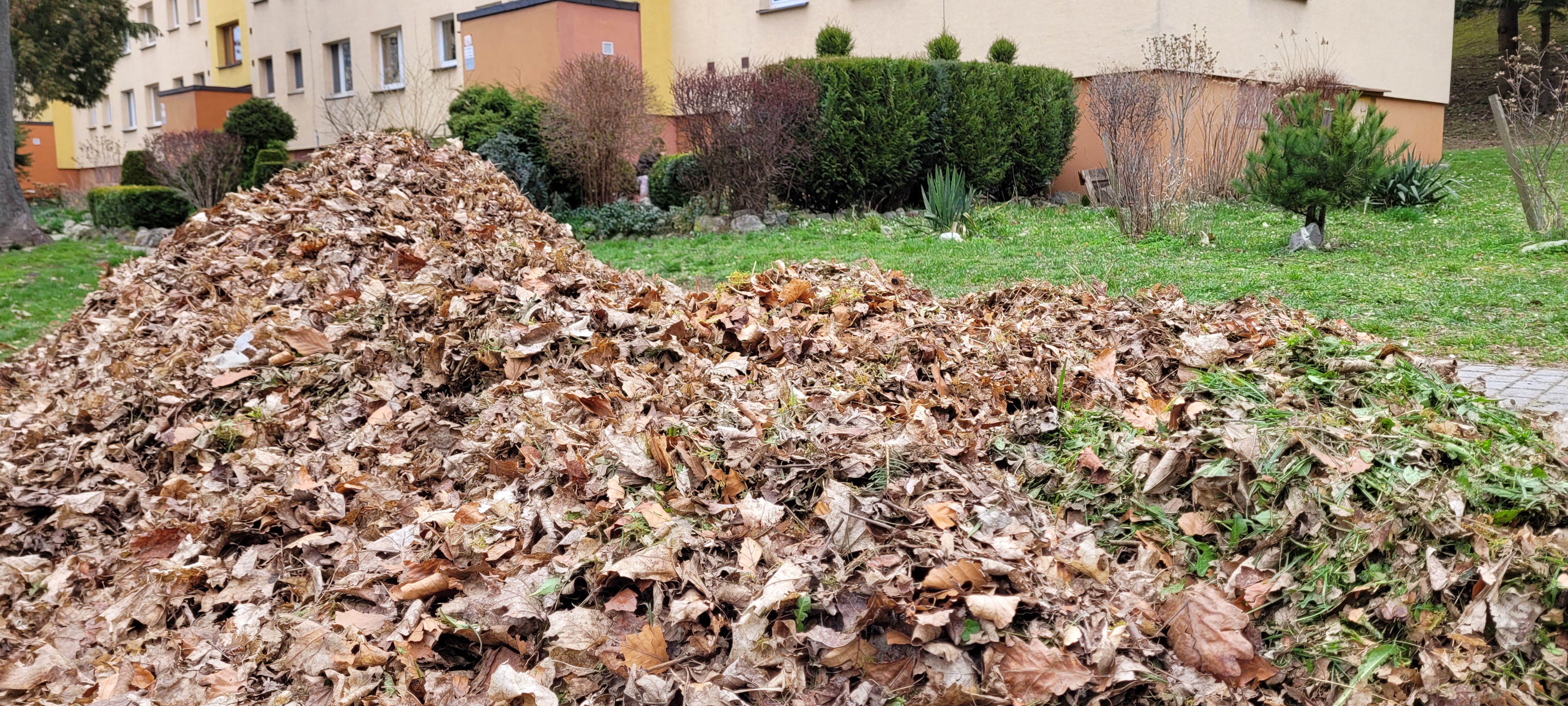 Harmonogram plošnej očisty a zberu lístia