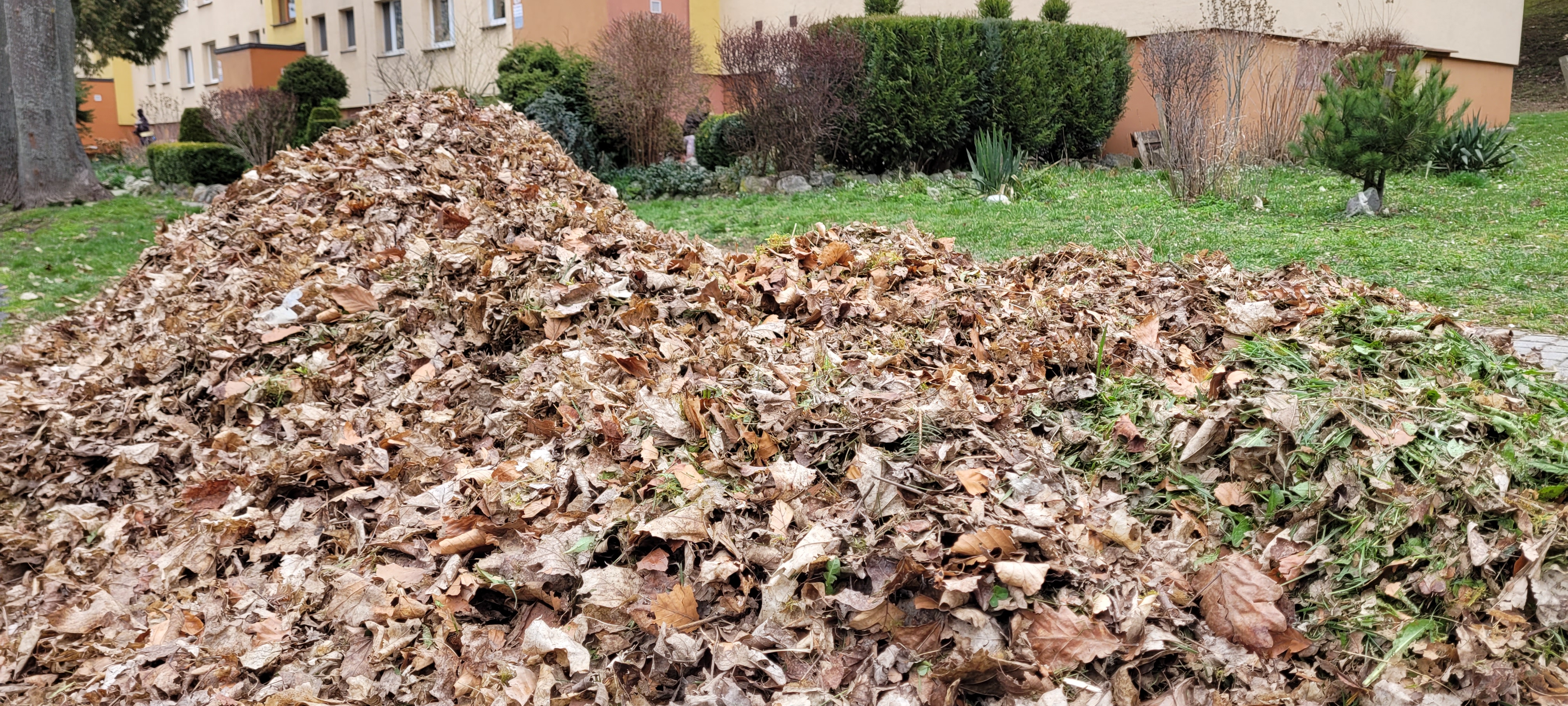 Harmonogram zametania chodníkov