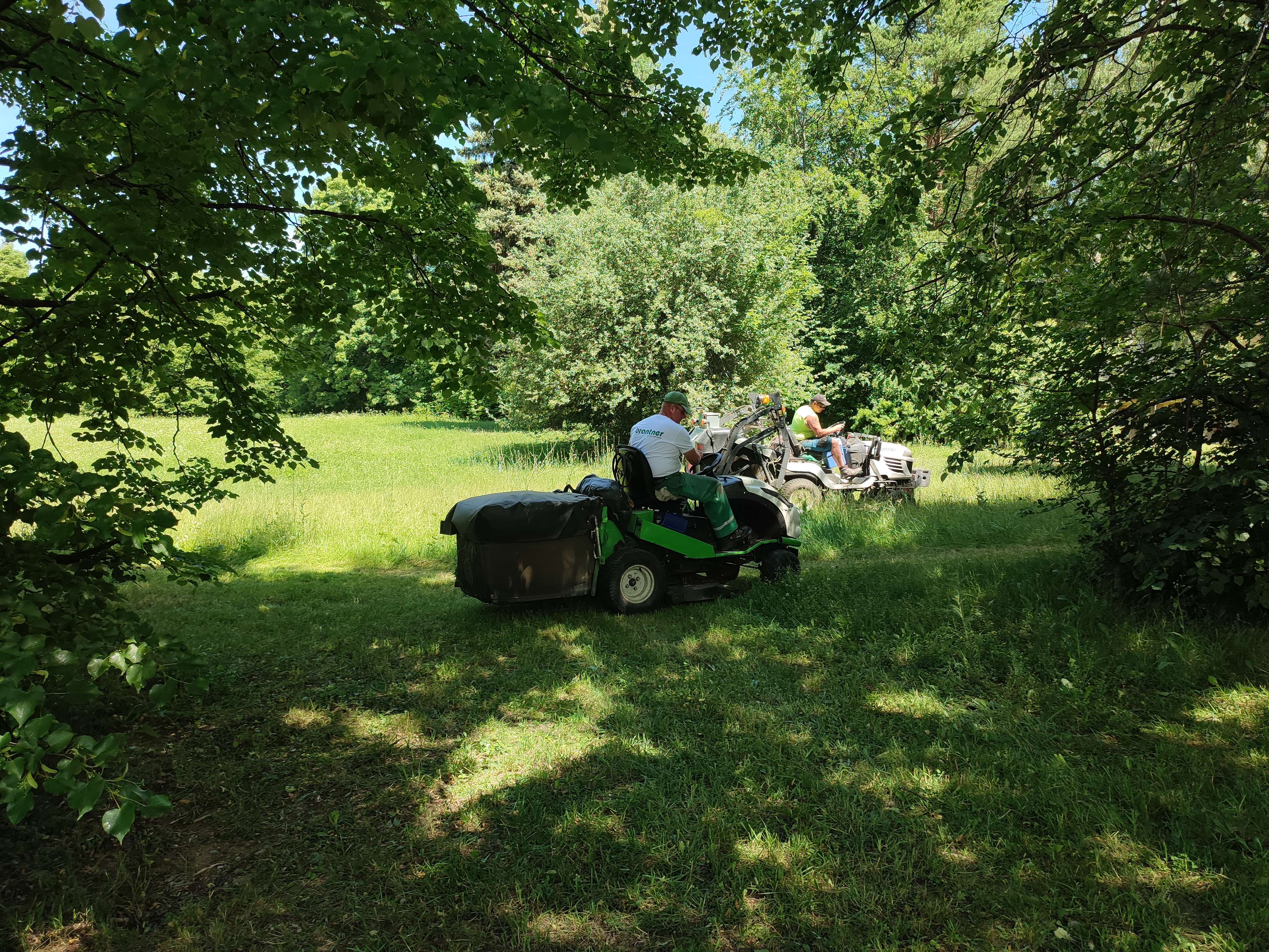 Harmonogram I. kosby trávnatých plôch 
